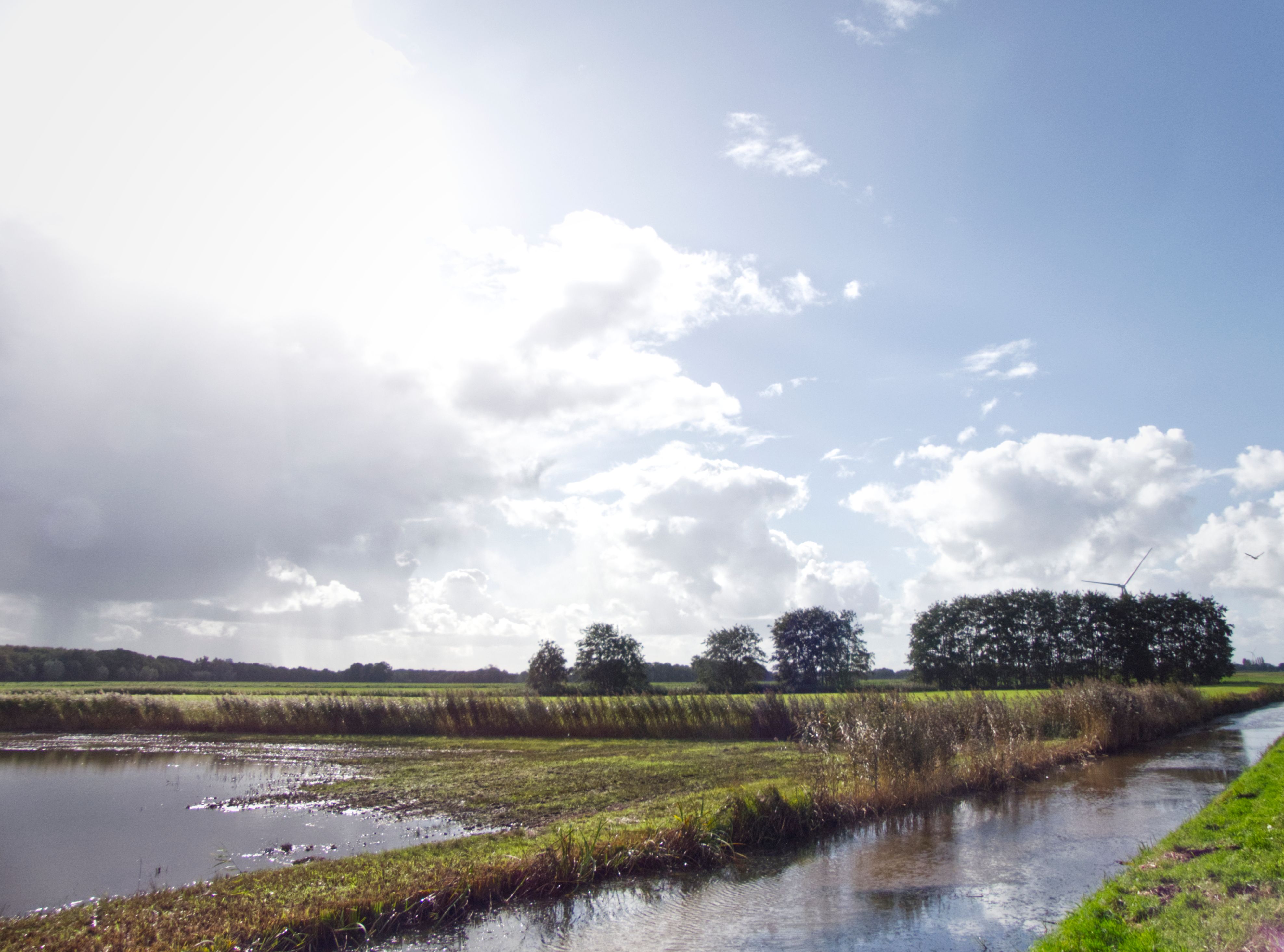 Een typisch Nederlands landschap met gras, water, een heldere lucht en zon.