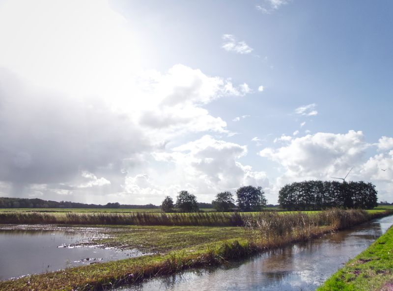 Een typisch Nederlands landschap met gras, water, een heldere lucht en zon.